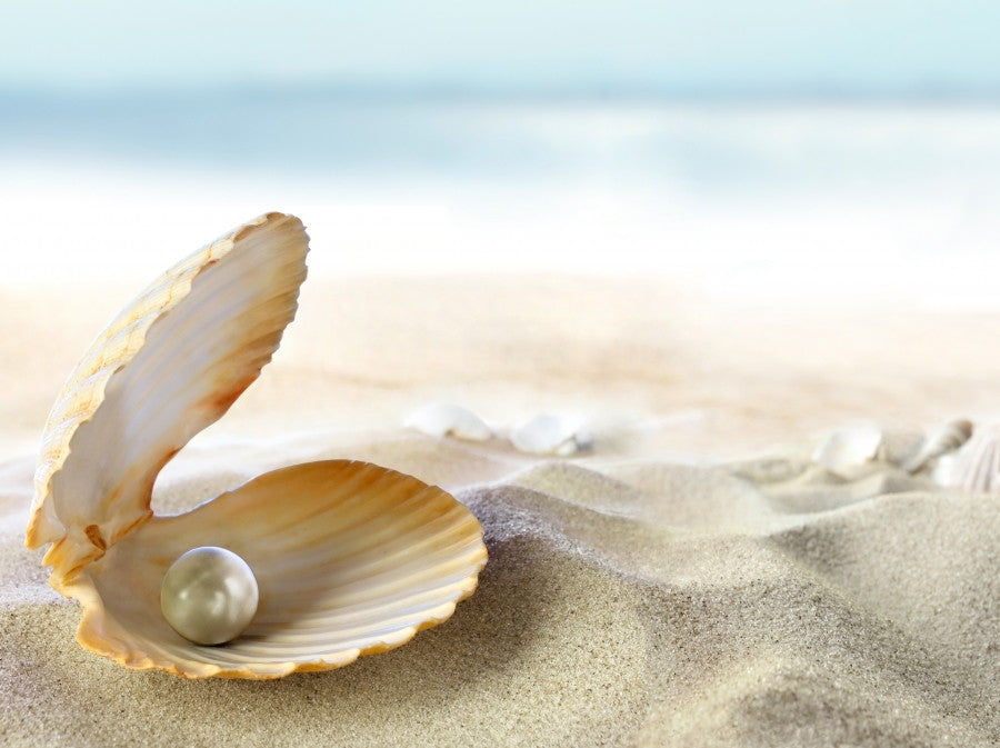 Creating A Mermaid Sanctuary In Your Home